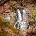 秋色 霧降の滝