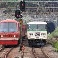 185系特急踊り子9号と伊豆急リゾート21キンメ電車