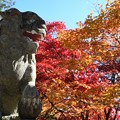 紅葉の古峯神社