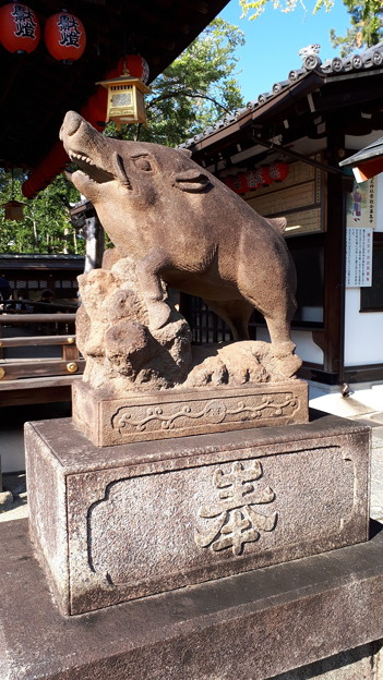 2018.11.11(京都/上京区/護王神社/霊猪像)