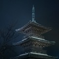 Photos: 霧の塔