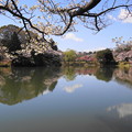 190402_11M_スローで桜を・S18299(三つ池) (112)