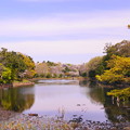 190405_21M_名所の桜・S18200(三つ池) (26)