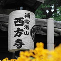 200927_25C_提灯・RX10M3(西方寺) (3)