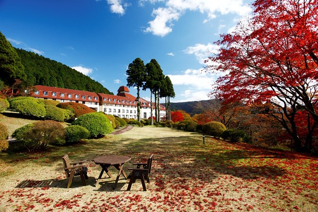 紅葉が美しい山のホテル庭園