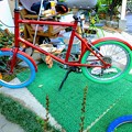 Photos: 自転車タイヤ交換カラータイヤ