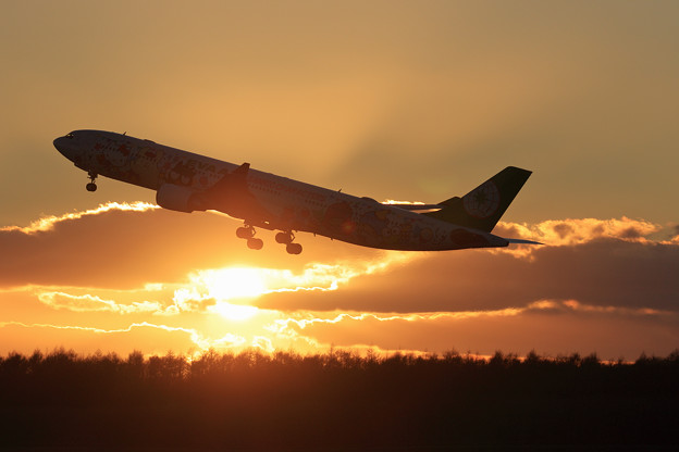 A330 EVA 夕陽の中takeoff