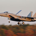 Photos: F-15J 夕暮れ時のlanding 203sq 892