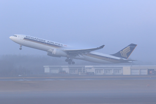 A330 SIA661 霧の朝