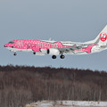 Boeing737 JTAの桜ジンベイが飛来(2)