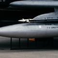 F-4EJ 8384 8sq 40th anniversary CTS 2000.08 (2)