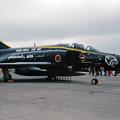 F-4EJ 8384 8sq 40th anniversary CTS 2000.08 (3)