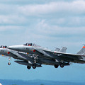 F-15J 8831+8913 203sq CTS 1992