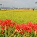 Photos: 近鉄南大阪線