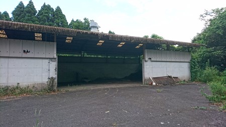 202000814 kotsukotsu tunnel 012