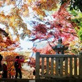 Photos: 光明寺の紅葉