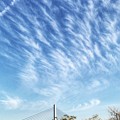 Photos: 今日の空