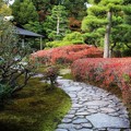 Photos: 京都　二条城庭園