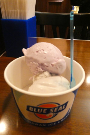沖縄アイスクリーム0322