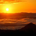 Photos: 朝陽に染まる雲海