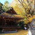 玉敷神社 201121 02