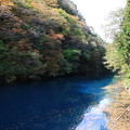 桃太郎の滝 201027 02