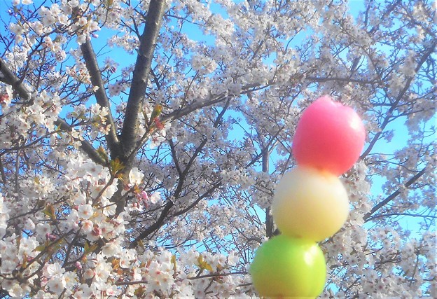 花より団子（三色だんご）＠千光寺山公園（花見だんご）