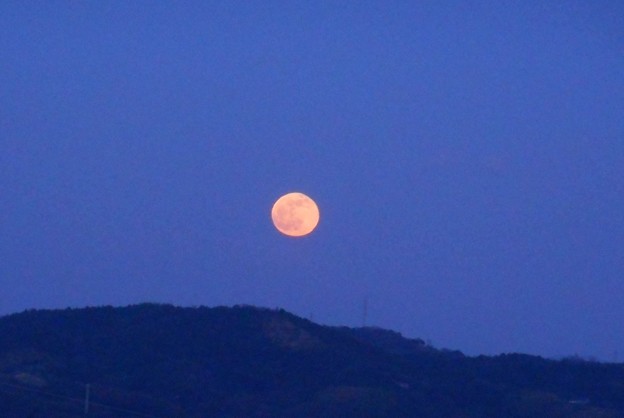 年の瀬のｵﾚﾝｼﾞ色の満月＠瑠璃山＠今年最後の満月