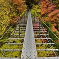 Photos: 畑薙大吊り橋