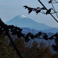 ２０１８年富幕山へ☆トミー今年９６回登頂