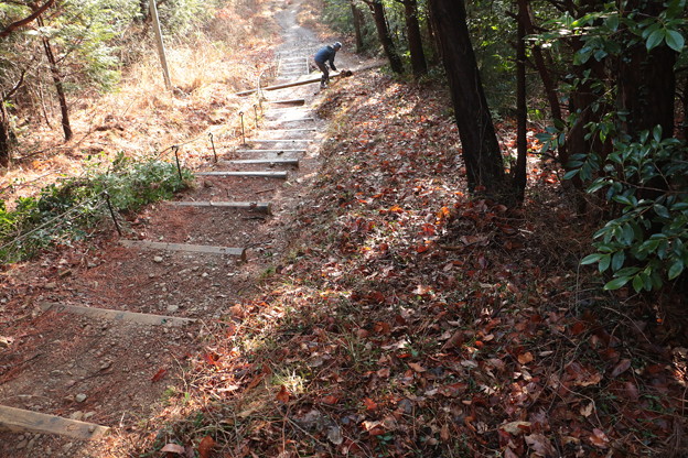 富幕山奥山コース登山道階段の右側高い所歩けるよう整備しました。
