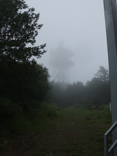 今日は霧の富幕山