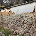 Photos: こちらの築地塀室町時代につくられたもの。白い漆喰の下には、日干し煉瓦が見えてきています。なるほど工法がよくわかります。