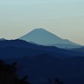 ２０２０年富幕山へ☆トミー今年１０５回登頂\(^o^)／