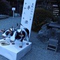Photos: 小国神社「鉄の干支丑、鉄のえとうし」鈴木格子（けいこ）さん作品