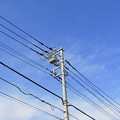 Photos: 青空と電柱