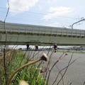 Photos: No.214　和泉多摩川の河川敷　その1
