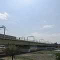 Photos: No.215　和泉多摩川の河川敷　その2