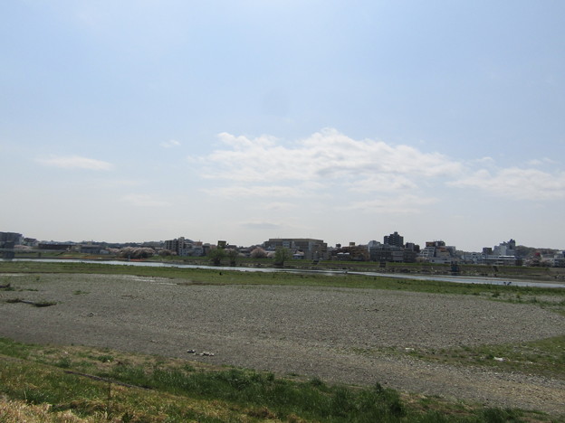 Photos: No.220　和泉多摩川の河川敷　その6