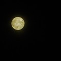 Photos: 今夜はおぼろな満月