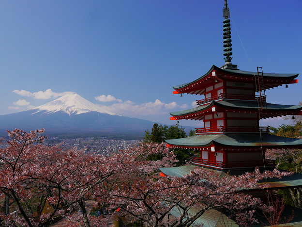 新倉浅間神社の桜と