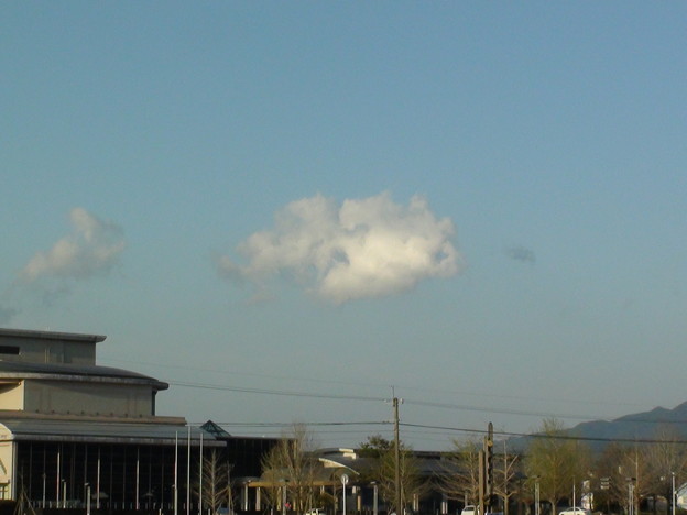 金魚雲