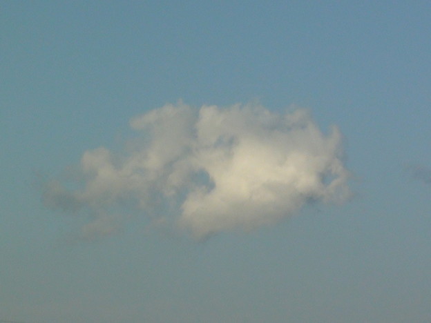 金魚雲