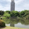 Photos: 新宿御苑（新宿区）