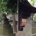 堀ノ内熊野神社（杉並区）