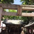 恵比寿神社（渋谷区恵比寿）