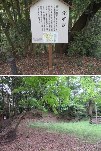 大聖寺城（石川県加賀市）鐘が丸櫓台・土塁・骨が谷
