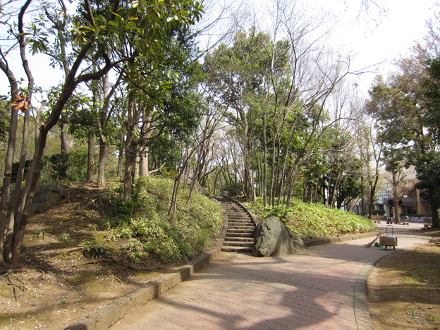 御殿前遺跡／滝野川公園（東京都北区）