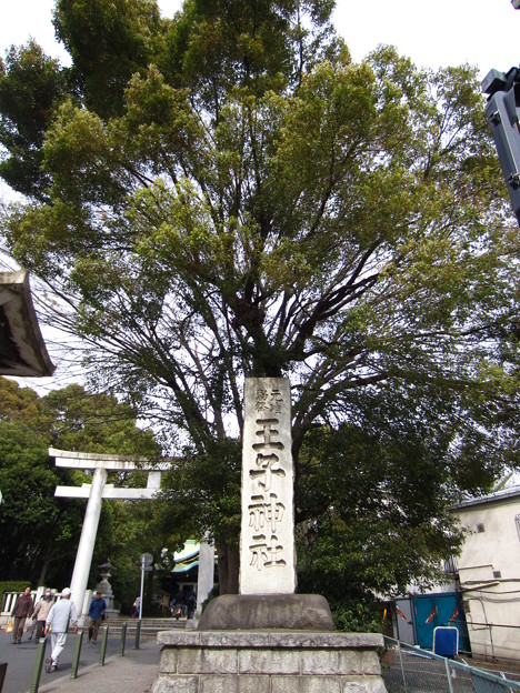 12.04.10.王子神社（東京都北区）