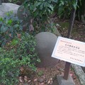 豊玉氷川神社（練馬区豊玉南）力石